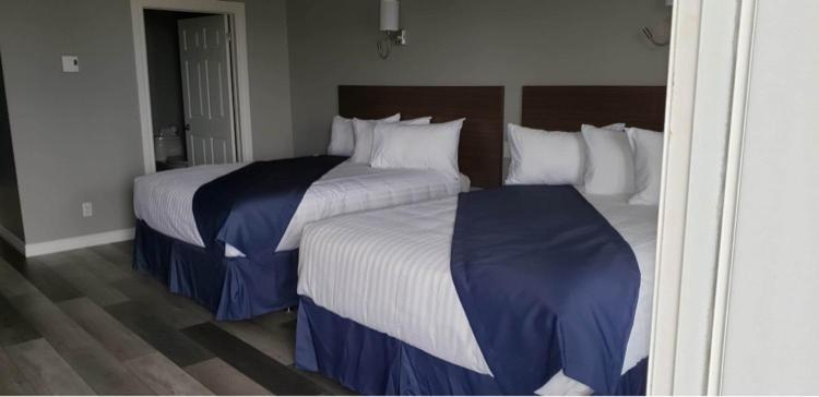 Hotel-Motel Fleur De Lys Perce Dış mekan fotoğraf